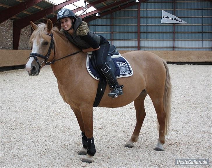 Anden særlig race Sally miin Prinsesse Y solgt - dressur taget af helene :D billede 4