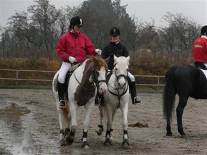Pinto Aristo - hubertusjagt :) med cille og snubbi <3 billede 8