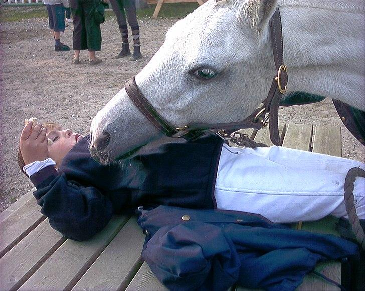 Welsh Pony (sec B) Korreborg's Gazella - her få jeg min første føste plas<3<3<3 på Gis der var i Øresundscuppen i spring billede 2