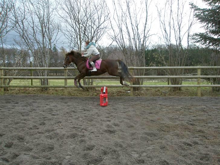 Traver Jamaica - Et lille spring billede :´) billede 19