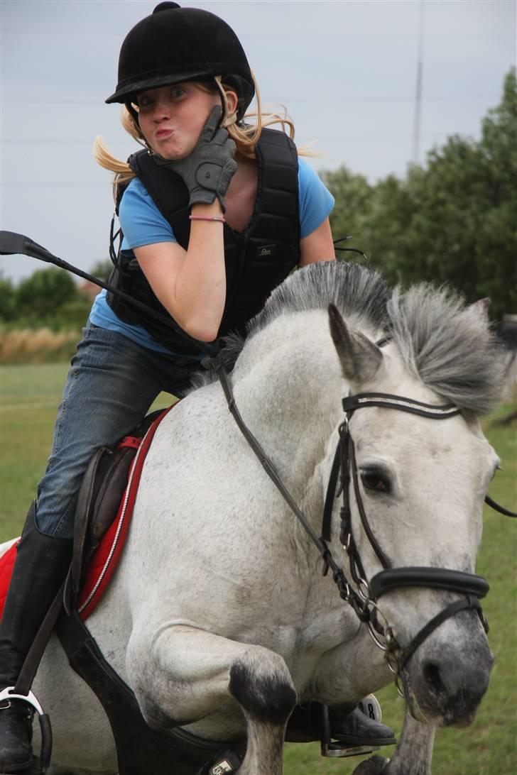 Anden særlig race PRIK. - Fordi folk misunede os! i; billede 7
