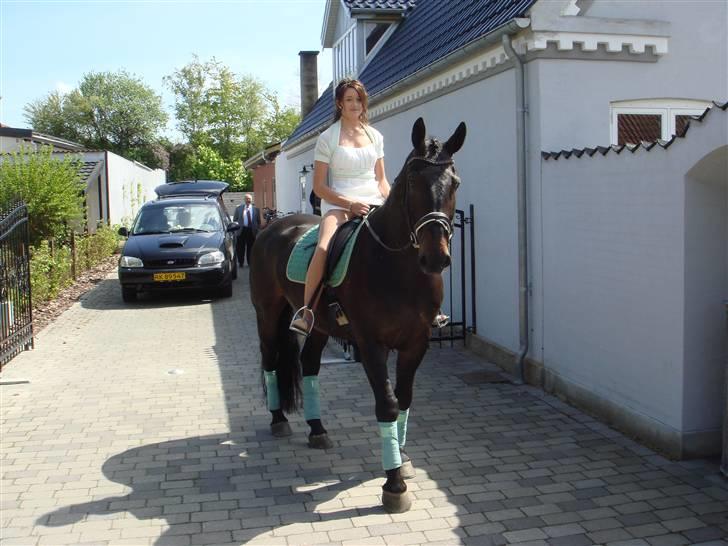 Oldenborg Vangkærs Sebastian - Sebastian hjemme ved mit hus til min konfirmation ;D billede 15