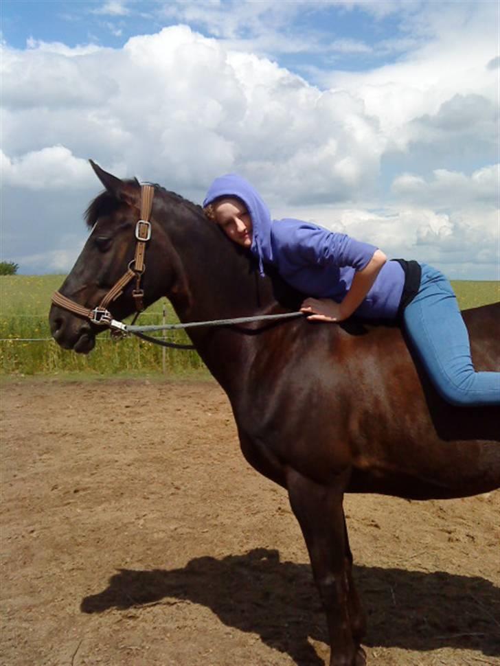 Anden særlig race joey *B-pony* - ude på marken<3 elsker ham mega højt billede 12
