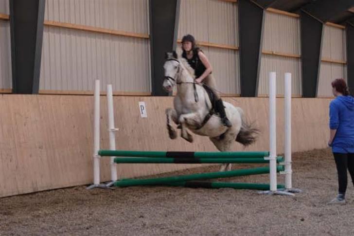 Knabstrupper Diogenes R.I.P :'( billede 18