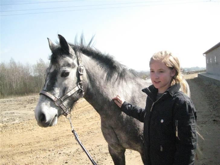 Connemara Honey Pie - uuuh, smukke jer *: billede 17