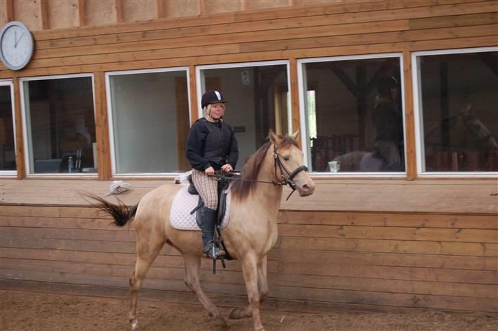 Anden særlig race Shikira R.I.P - første gang uden longe. hun var for sej! billede 4