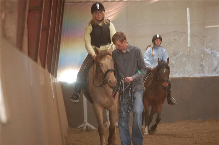 Anden særlig race Shikira R.I.P billede 5