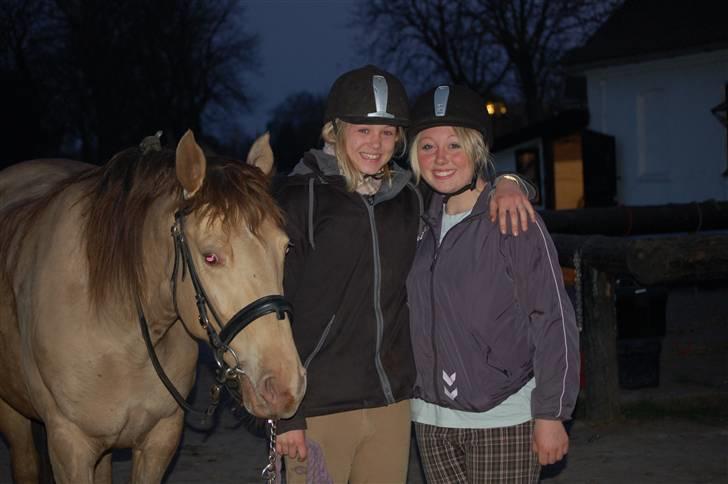 Anden særlig race Shikira R.I.P billede 6