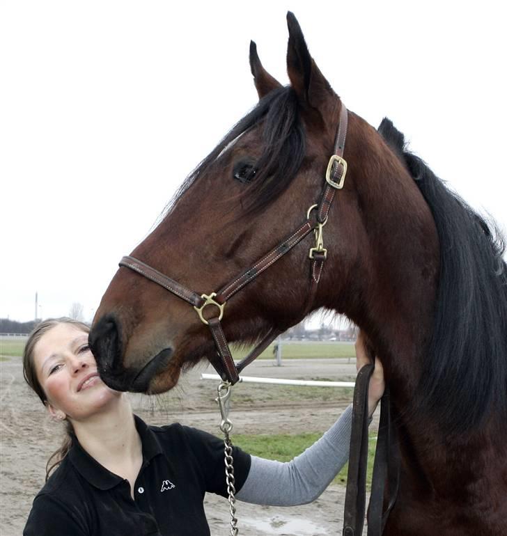 Traver Schimansky *passer* SOLGT billede 1