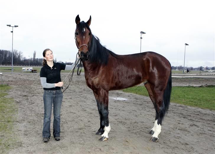 Traver Schimansky *passer* SOLGT billede 3