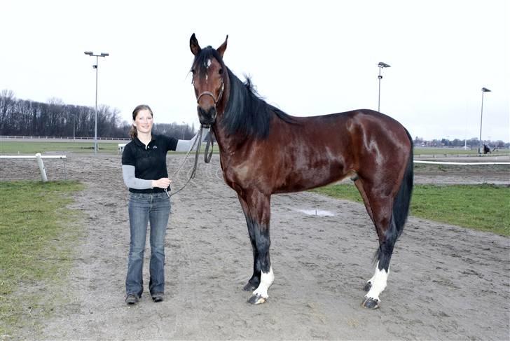 Traver Schimansky *passer* SOLGT billede 4