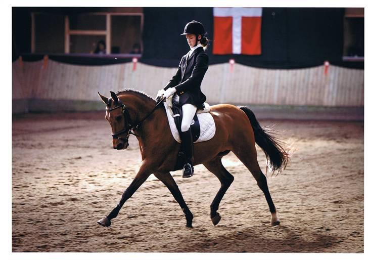 DSP Farinelle II   *R.I.P* - Velkommen til Farinelle´s profil......   :) billede 1