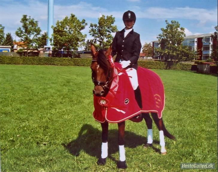 DSP Farinelle II   *R.I.P* - Distriktsmester 2006 billede 8