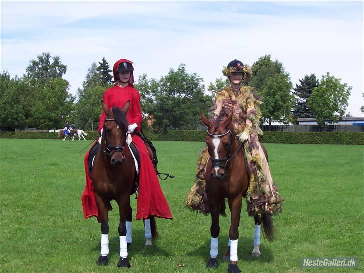 DSP Farinelle II   *R.I.P* - Par de deux til Borup dyrskue billede 9