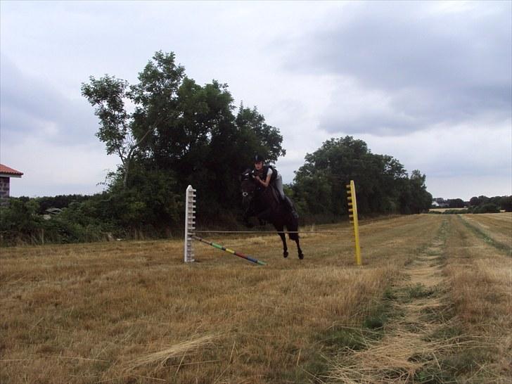 Anden særlig race Valde-solgt..;( - :) billede 1