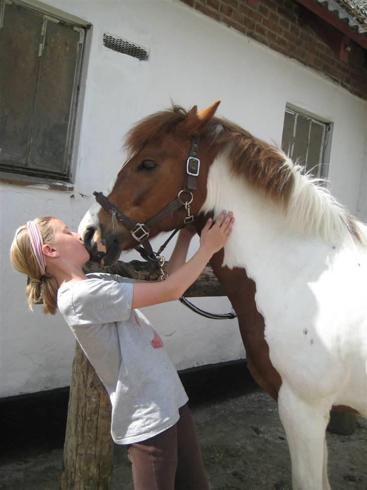 Pinto Komo - Coy  - myssse myyyssse :* :D <<33  billede 19