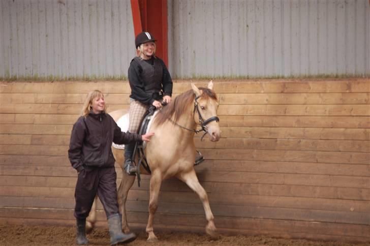 Anden særlig race Shikira R.I.P billede 8