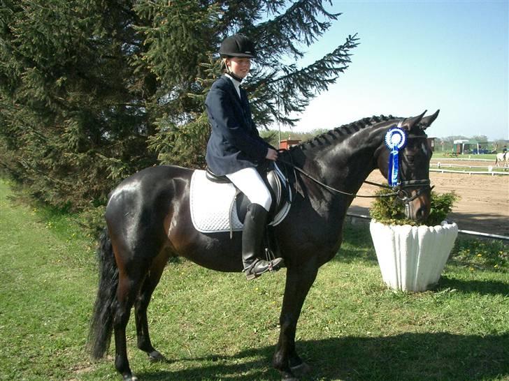 Dansk Varmblod Strauss *R.I.P* - 2. plads i dressur :D billede 13