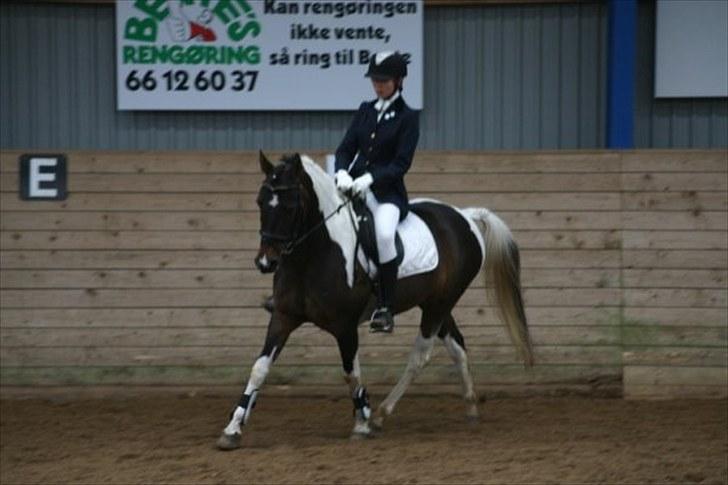 Pinto Araber Lucky<33 - Mig og min smukke pony der rider<33 billede 10