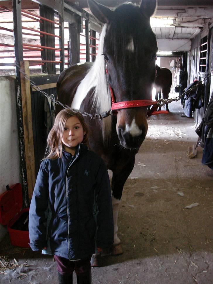 Pinto Araber Lucky<33 - Min lillesøster og min smukke pony<33 billede 13