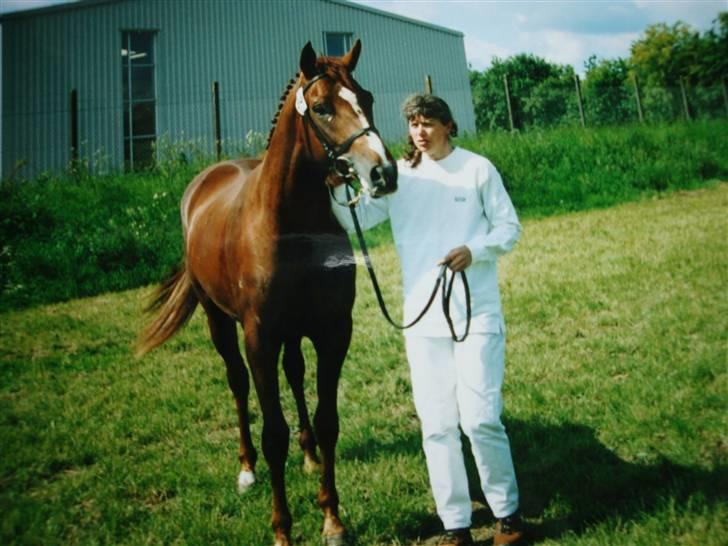 Fuldblod (XX) Le Etalon SOLGT RIP :'( - Til dyrskue som 2 års. billede 16