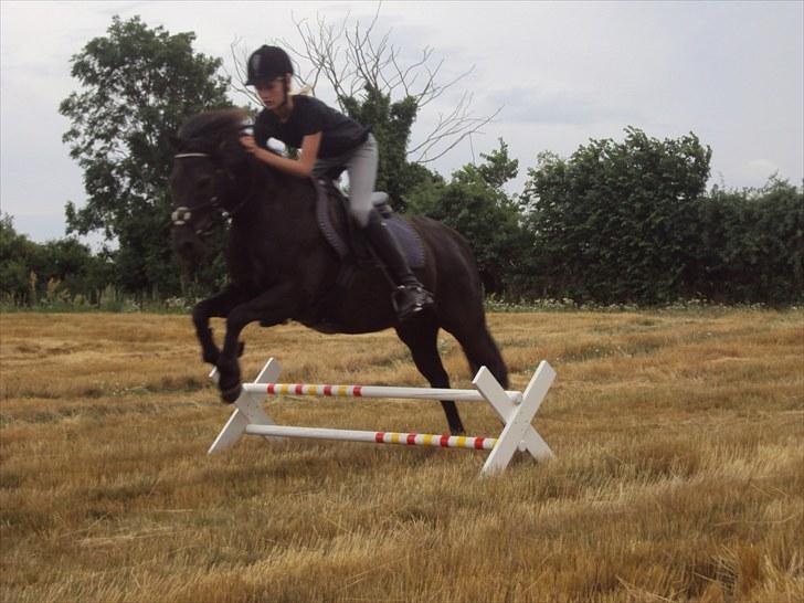 Anden særlig race Valde-solgt..;( - :o) billede 6