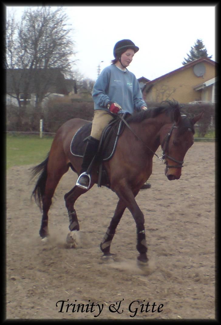 Anden særlig race Trinity - 07.04.09 - Trinity & Gitte  =) billede 19