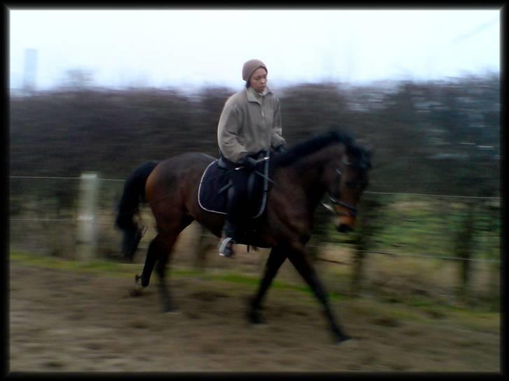 Anden særlig race Trinity - 27.03.09 billede 20