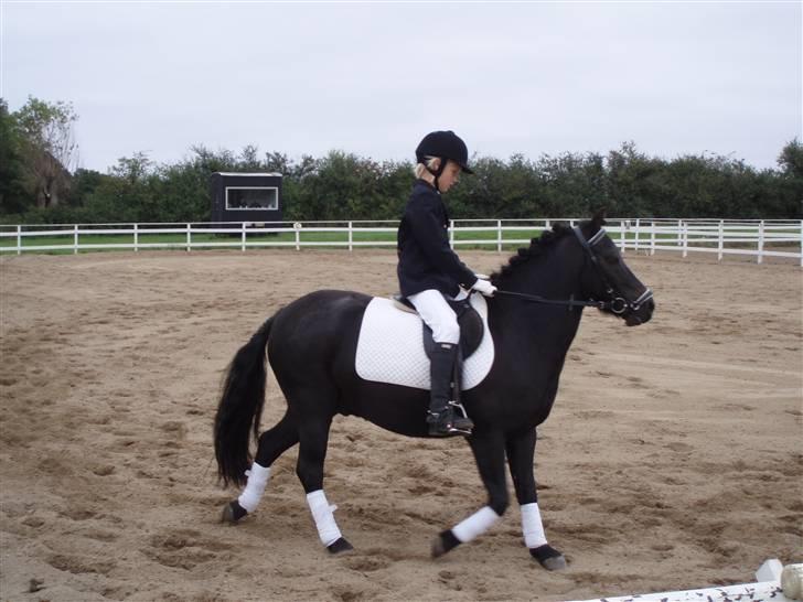 Anden særlig race Valde-solgt..;( - wow det er længe siden ;) billede 7