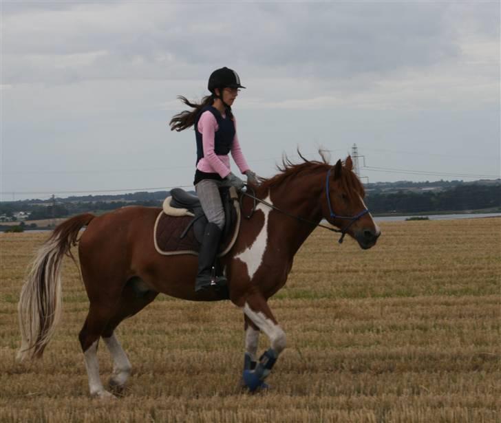 Pinto Polle - <3<3 Polle og jeg med rebgrime <3 billede 13