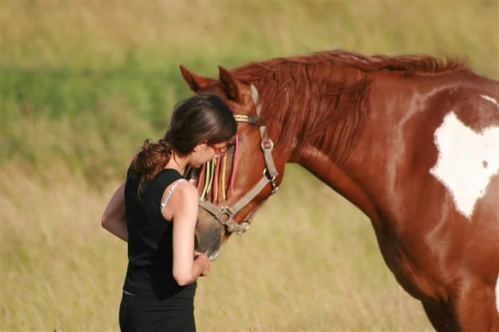 Pinto Polle - du betyder alt drengen <3 :`) billede 17