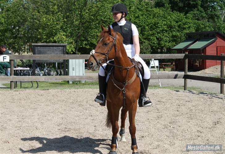 Irsk Sportspony Pimboli  *Solgt* - Mig & Pimboli til vores 2. stævne hvor vi vandt i LD på ISR.. (: Foto : Kristina.. billede 8