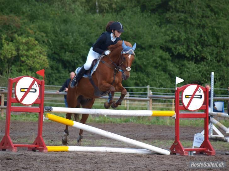 Irsk Sportspony Pimboli  *Solgt* - Mig & Pimboli til spring stævne på ARK i LC som VI VANDT! (: Foto : IMS-foto.. billede 9
