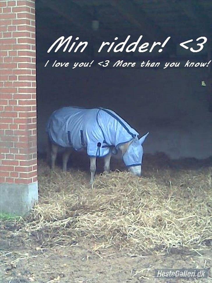 Anden særlig race Bella <3 - Billede nr.: 15* Bella med insekt-dækken :) <3 Søde tøs... I love you more than you know! billede 15