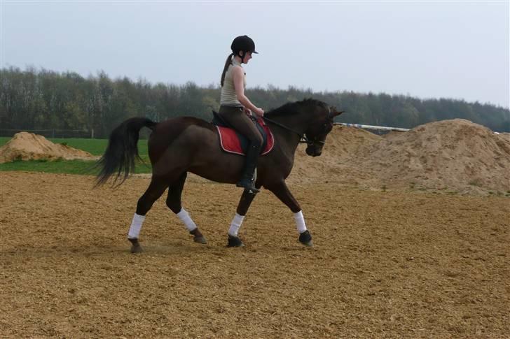 Anden særlig race Montoya<3 - mig og montoya ude og ride hvor vejret er godt - * foto* anne vester! billede 1