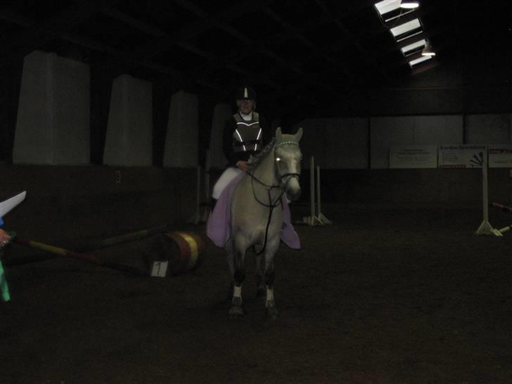 Anden særlig race Silver Shy <3. Solgt - Mig og Silver til Præmie Overrækkelse på Sjølund Efter En LD. vi Kom på En anden Plads! var og Bliver Så Stolt af Dig! LOVE YOU! <3 billede 20