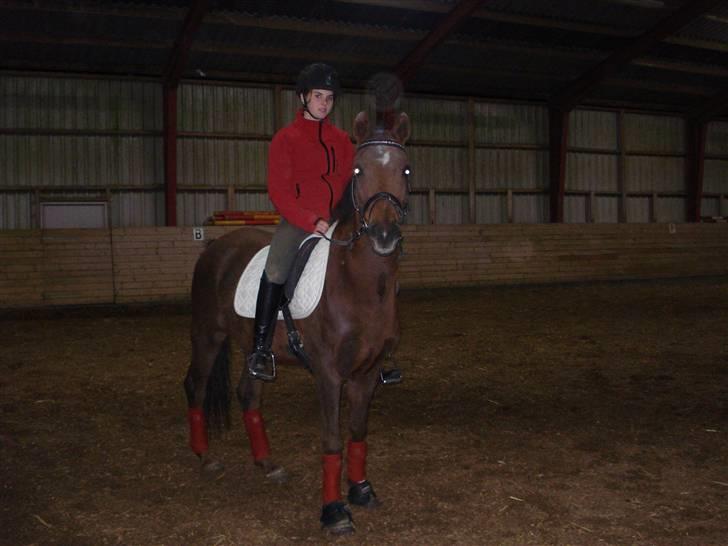 Anden særlig race Montoya<3 - montoya *foto* anne vester! billede 3