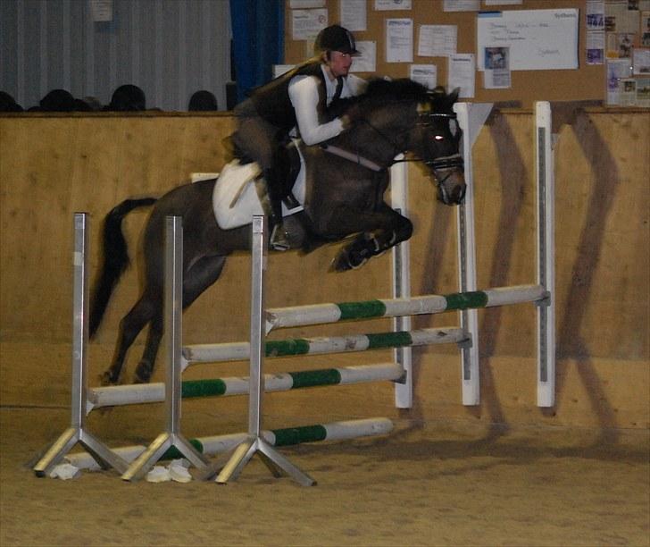 Welsh Cob (sec D) V. B. Idris *SOLGT ! :'(* - Idris og Nanna til træning (: billede 8