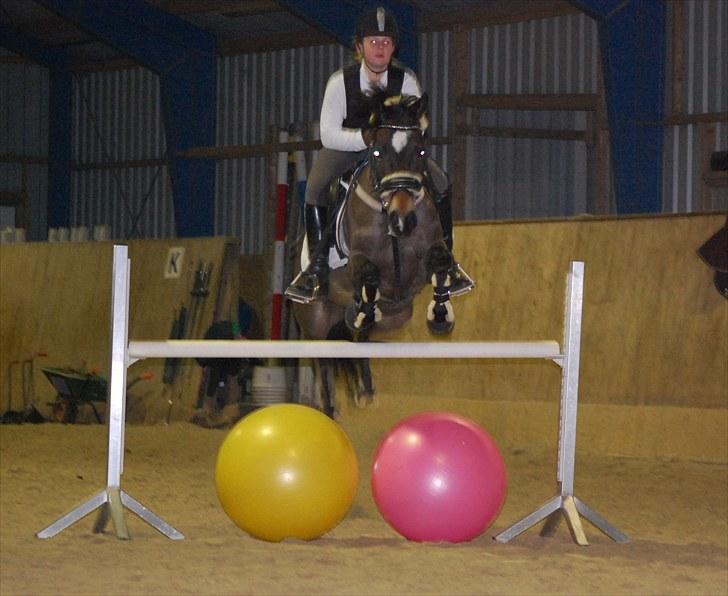 Welsh Cob (sec D) V. B. Idris *SOLGT ! :'(* - Nanna og Idris der træner (: billede 19