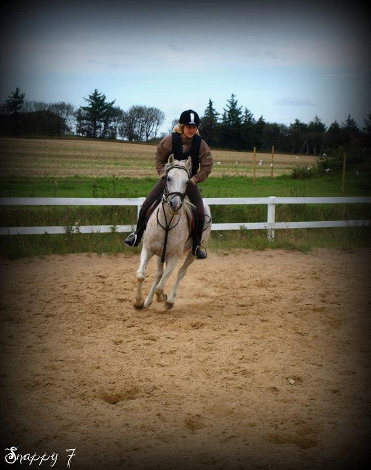 Anden særlig race Snappy .<'3 - Fordi vi ville kæmpe sammen, ild og vand til hinanden?! <3 Foto: Far billede 12