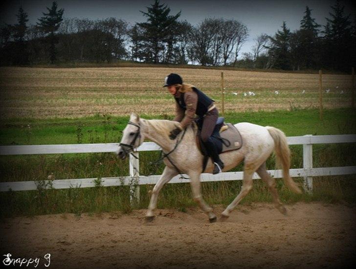 Anden særlig race Snappy .<'3 - Fordi jeg vidste du var MEGET skrøbelig pony!! Så gav jeg alt det bedste til dig. Foto: Far billede 14