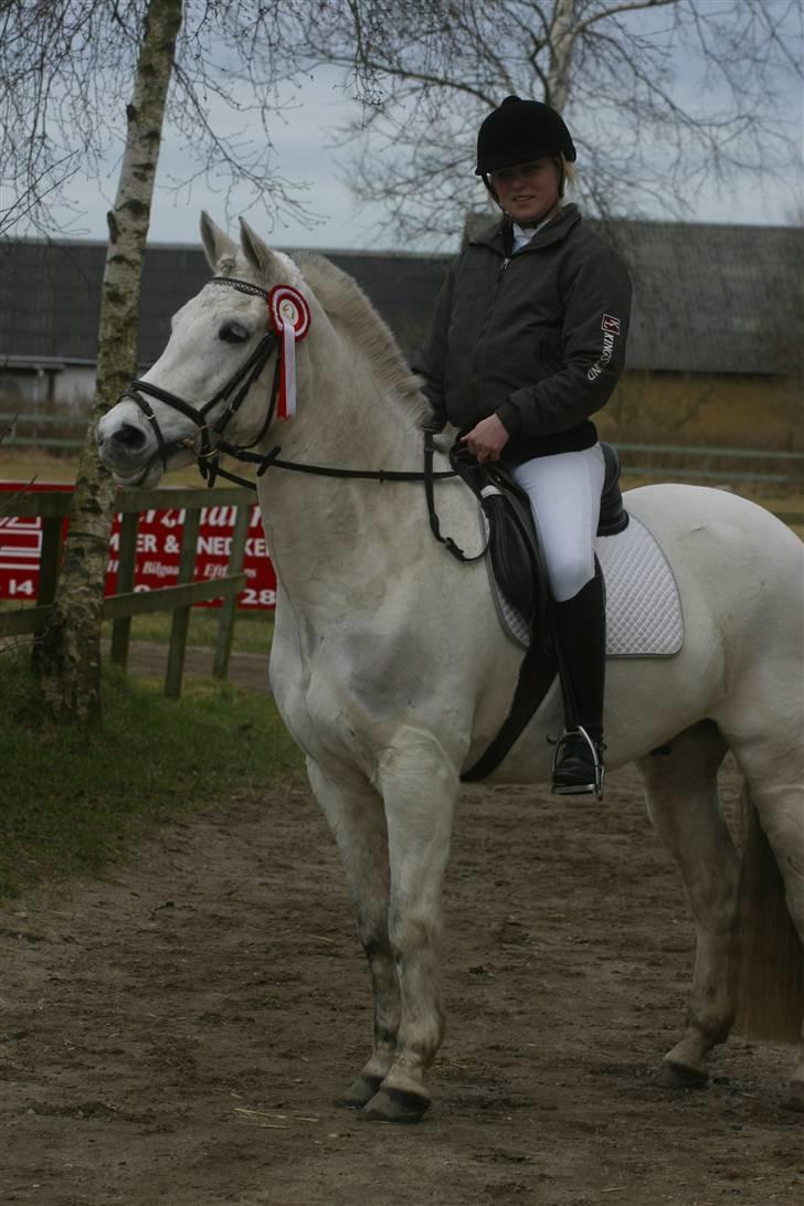 Connemara Breezer  R. I. P  - MIg og Breezer vandt LC 1 for heste <333 billede 8