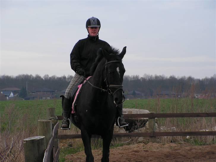 Oldenborg cherie billede 5