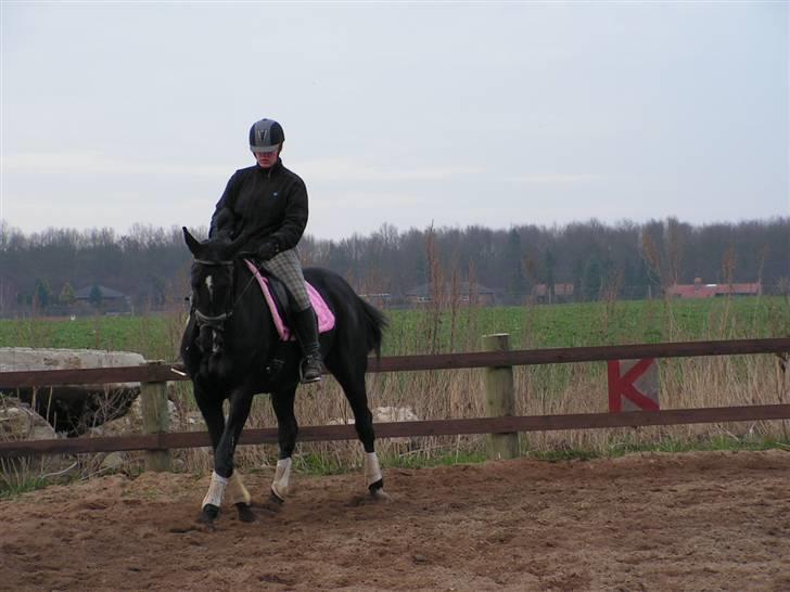 Oldenborg cherie billede 6