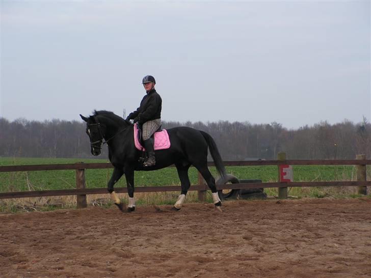 Oldenborg cherie billede 7