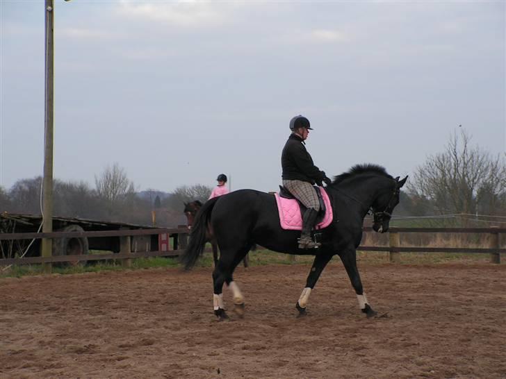 Oldenborg cherie billede 8