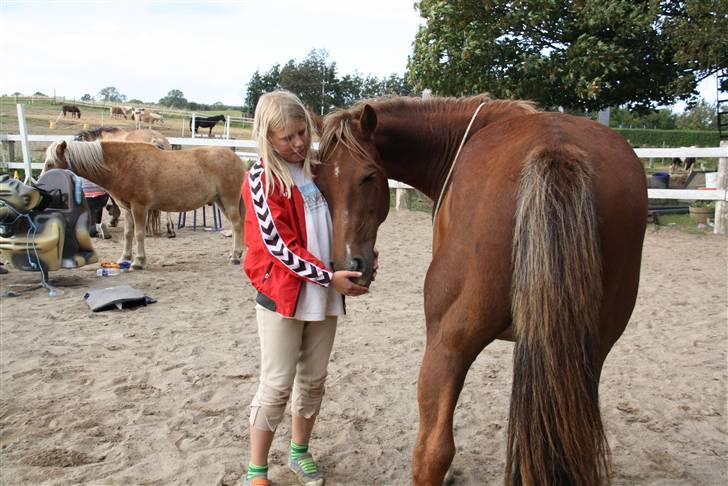 Anden særlig race |Sigurd| GL. Part.. - 16# hygge<333 foto: Michala billede 16