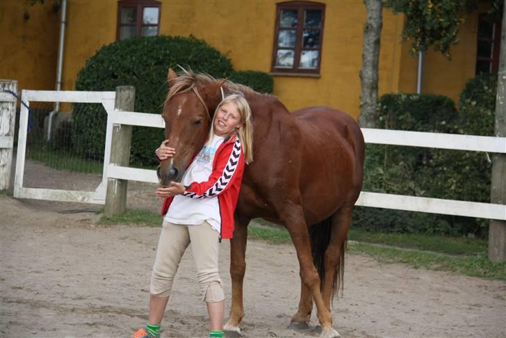 Anden særlig race |Sigurd| GL. Part.. - 18# ``dit hoved er godt at ligge på´´ xD<3 foto: michala<3 billede 18