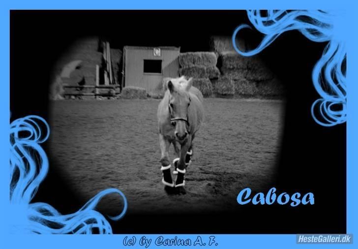 Cruzado Cabosa <3 (SOLGT/:) R.I.P - Cabosa redigeret. billede 18