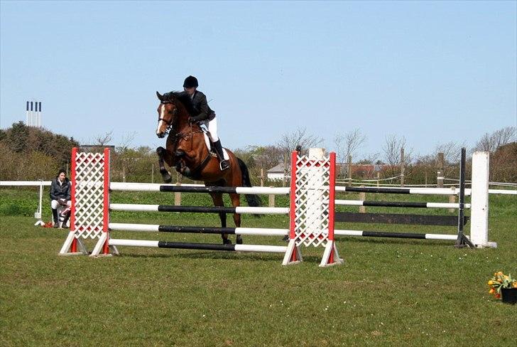 Dansk Varmblod Holmgårds Quatro - SOLGT! - Distriktsstævne i Ringkøbing maj 2010, LA, hvor vi fik en 4.plads :) billede 8